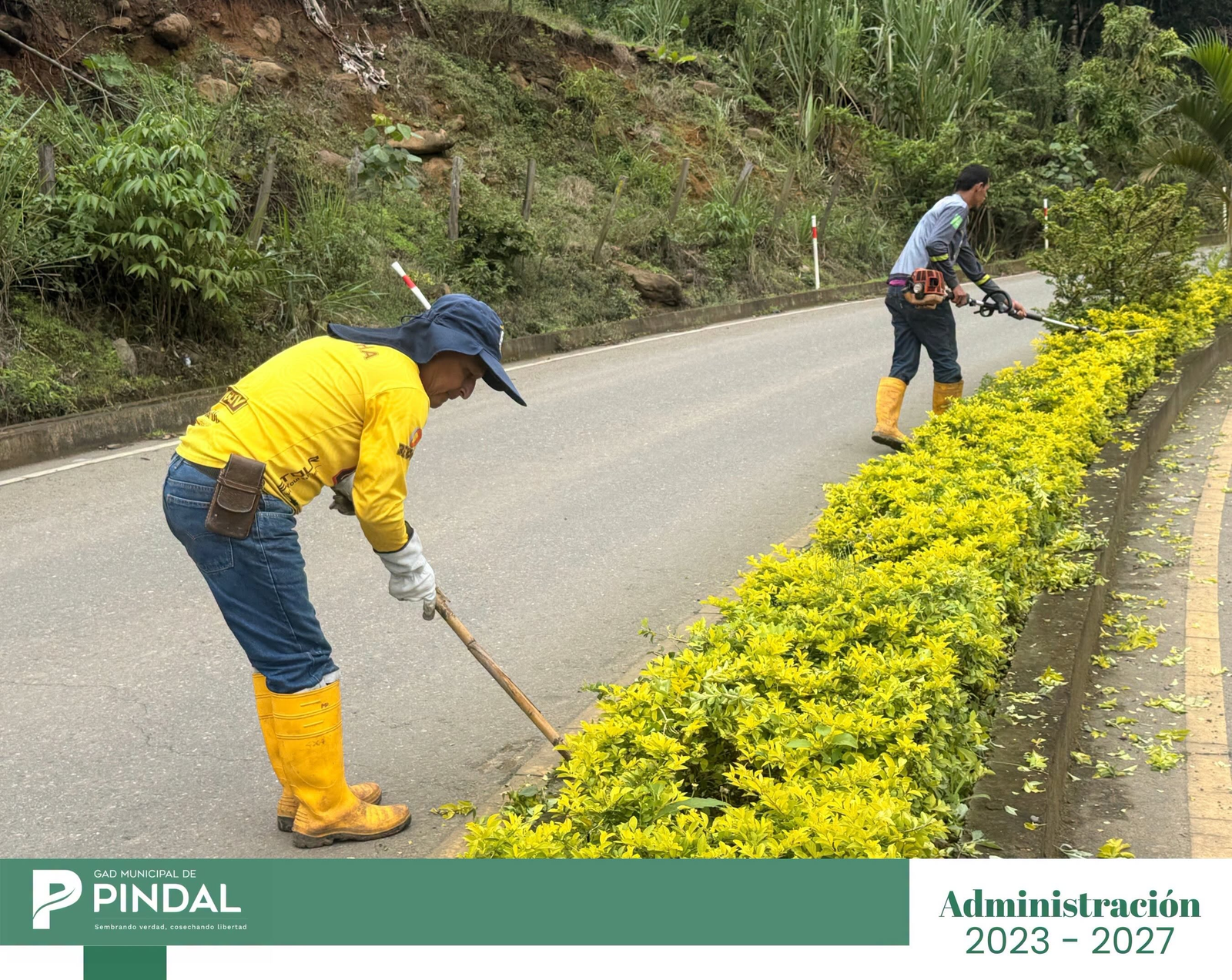 Personal del GADM Pindal durante mantenimiento de espacios verdes