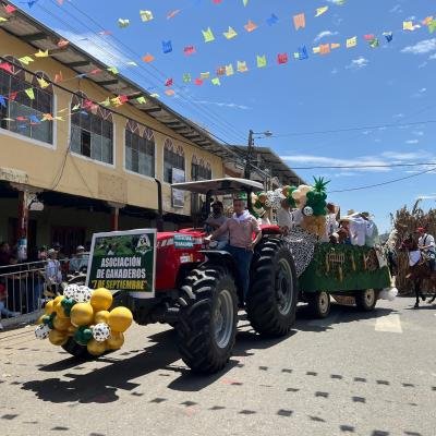 Desfile Florklorica 4