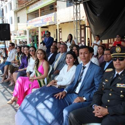 Desfile Civico 31