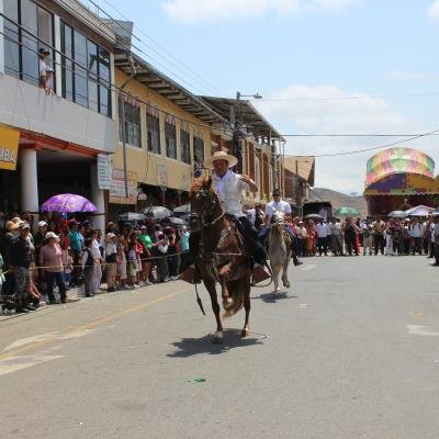 Desfile Civico 37